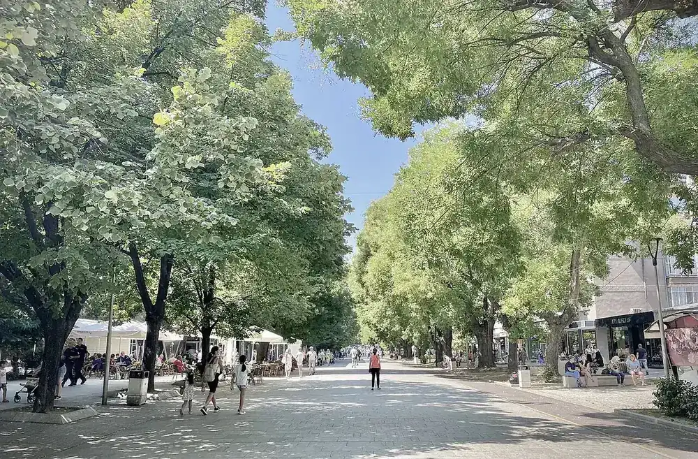 Булевард „Цар Симеон Велики“ в Стара Загора